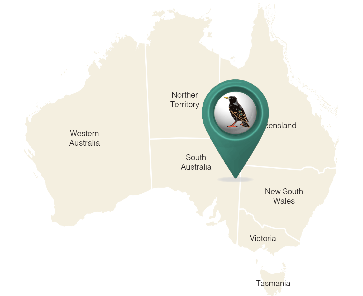 Start Mapping Starlings